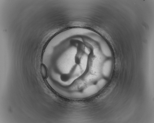 X0000114420529200911061624