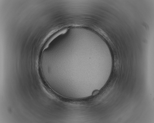 X0000114420530200911061624