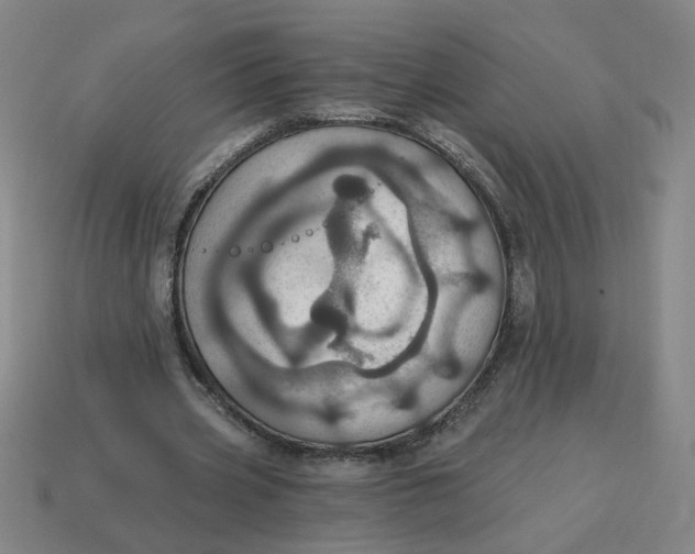 X0000114420533200911061624