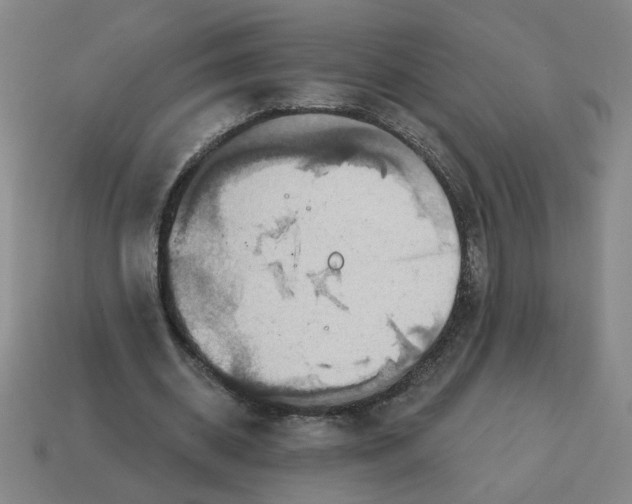 X0000114420534200911061624