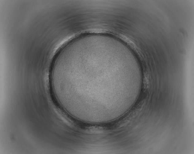 X0000114420535200911061624