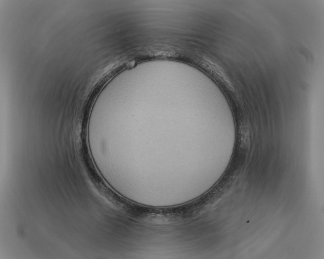 X0000114420538200911061624