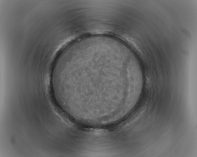 X0000114420539200911061624
