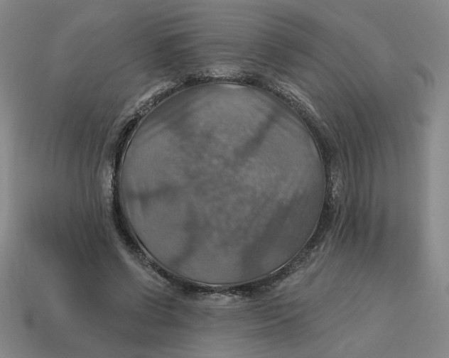 X0000114420542200911061624