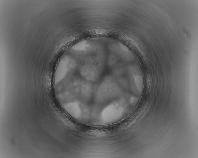 X0000114420545200911061624