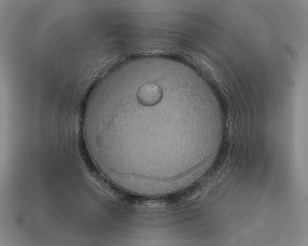 X0000114420546200911061624