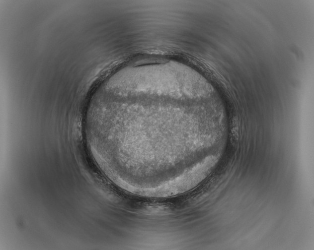 X0000114420547200911061624