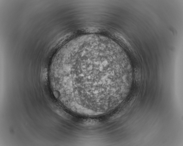 X0000114420549200911061624