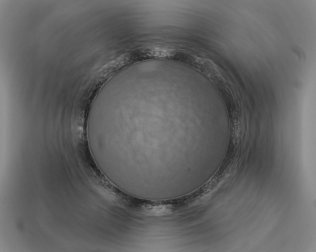 X0000114420553200911061624