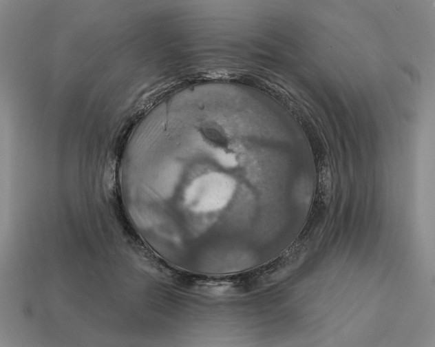 X0000114420554200911061624