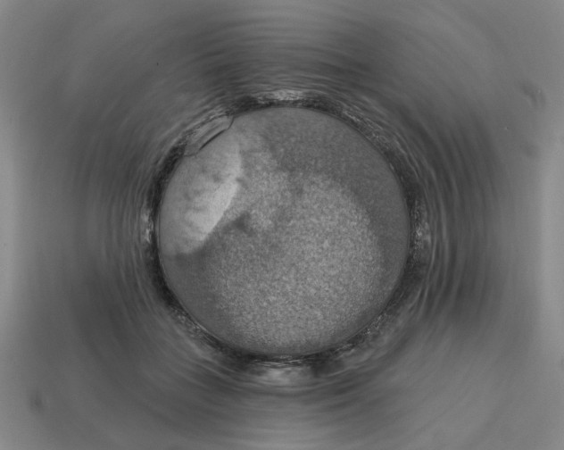 X0000114420555200911061624