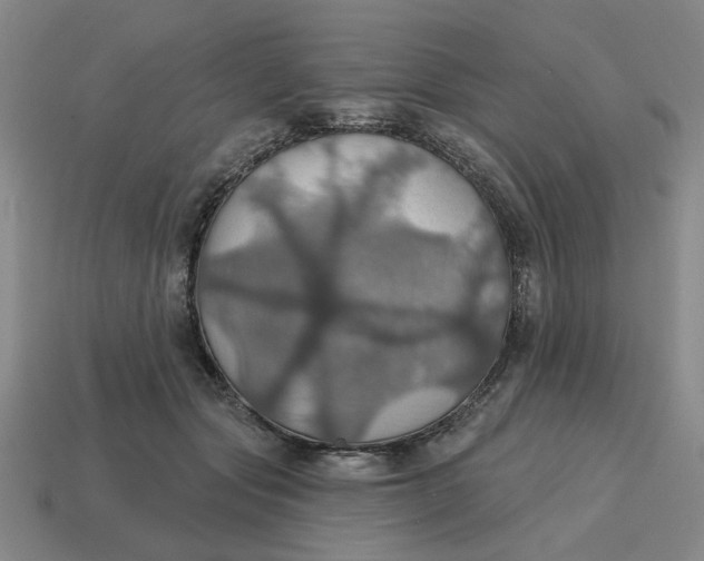 X0000114420557200911061624