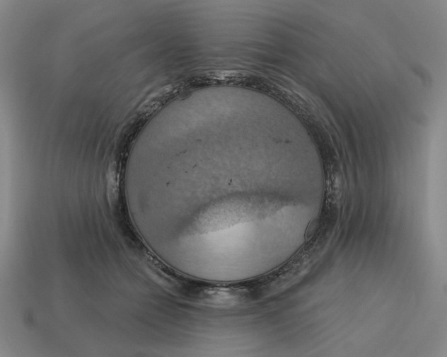 X0000114420558200911061625