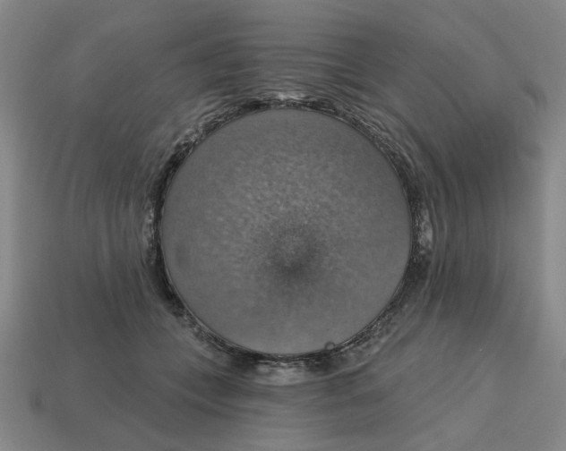 X0000114420559200911061625