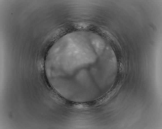 X0000114420561200911061625