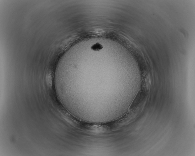 X0000114420562200911061625