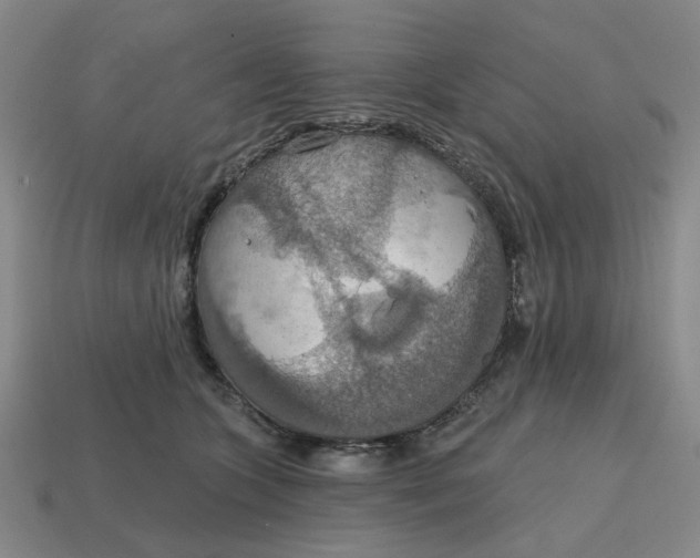 X0000114420563200911061625
