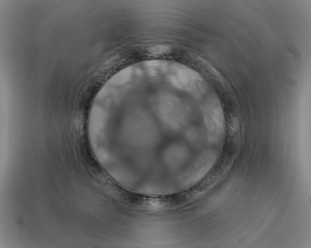 X0000114420565200911061625