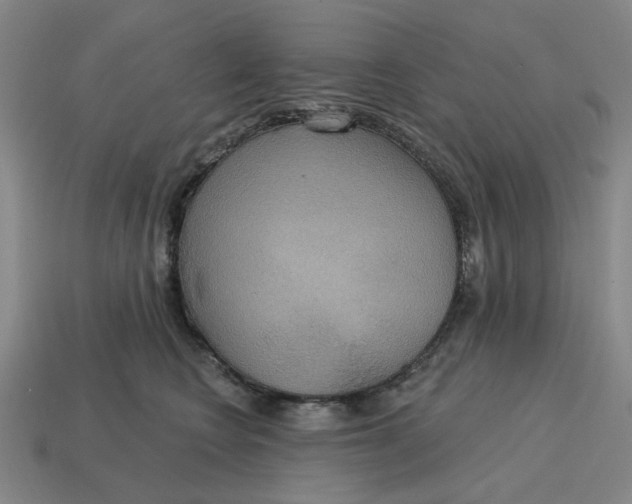 X0000114420566200911061625