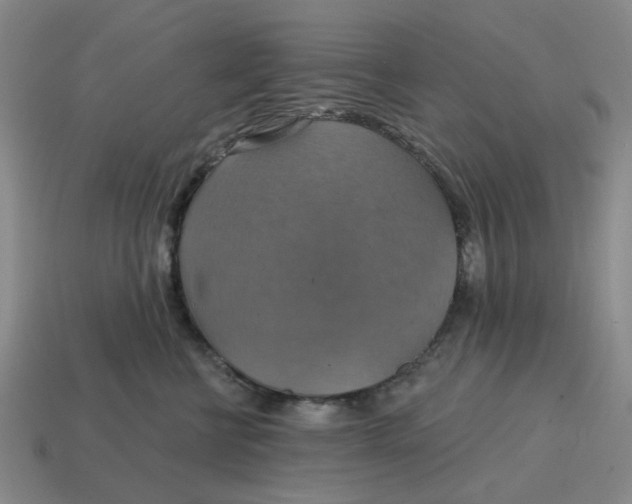 X0000114420570200911061625