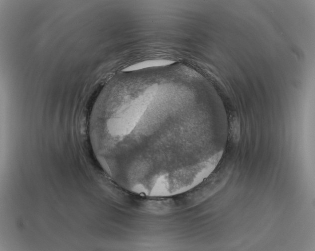 X0000114420571200911061625