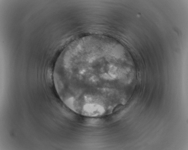 X0000114420575200911061625
