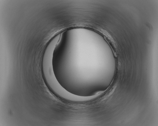 X0000114420577200911061624