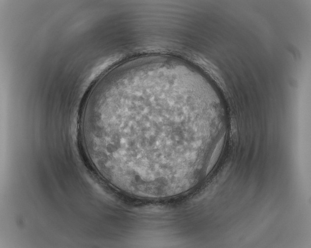 X0000114420578200911061624