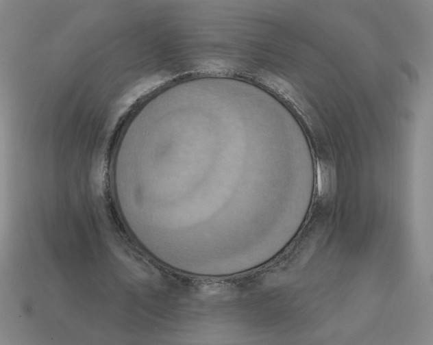 X0000114420579200911061624