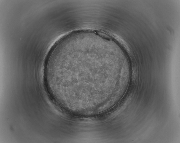 X0000114420580200911061624