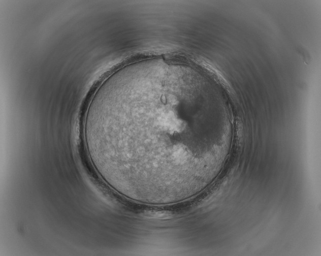 X0000114420582200911061624