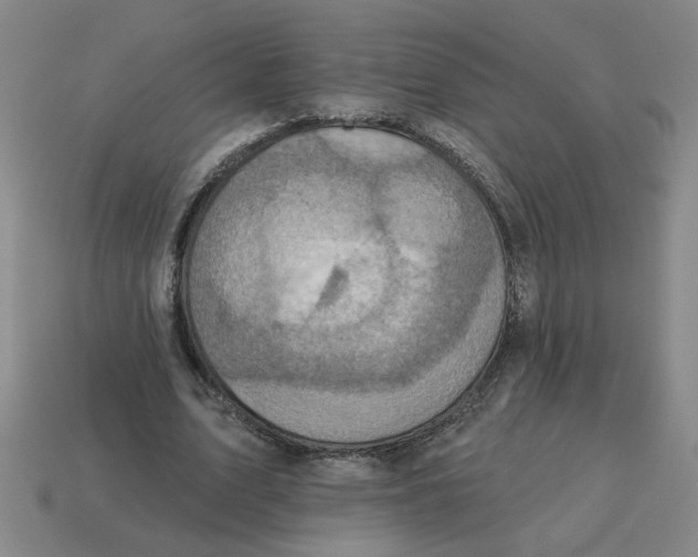 X0000114420583200911061624
