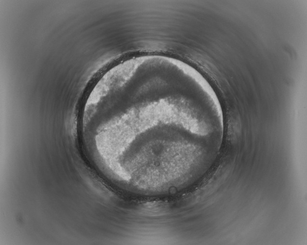 X0000114420584200911061624