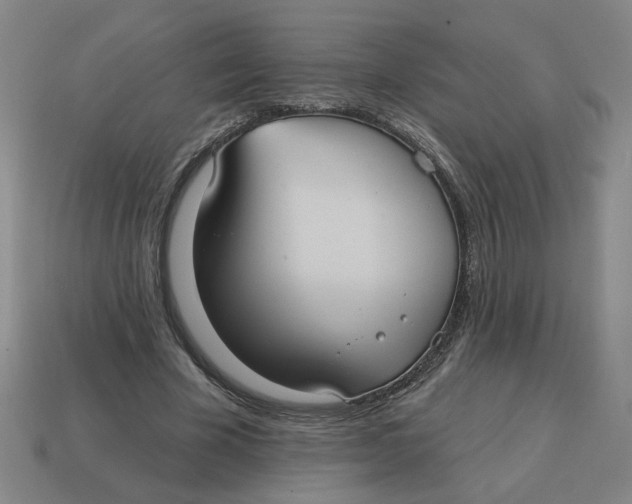 X0000114420585200911061624