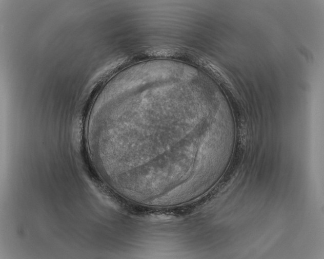 X0000114420586200911061624