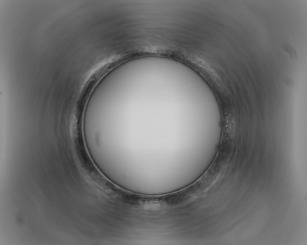 X0000114420587200911061624