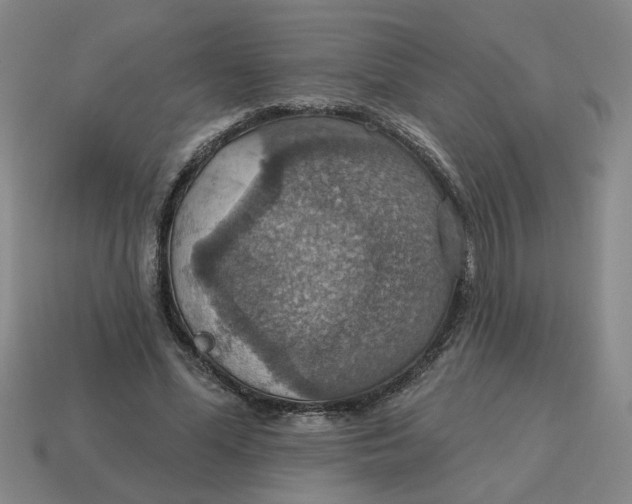 X0000114420588200911061624