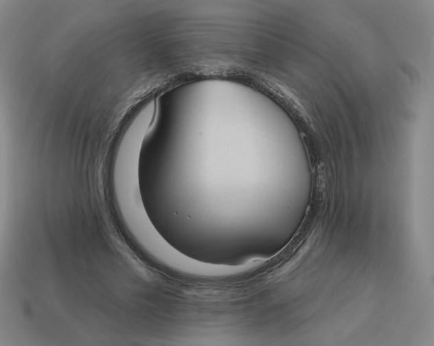 X0000114420589200911061624