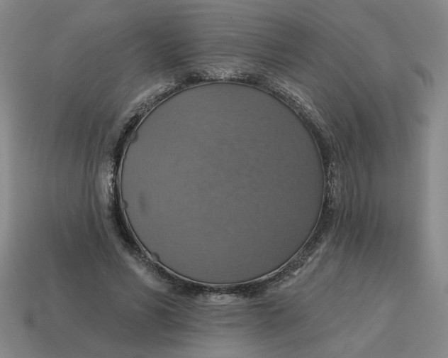 X0000114420590200911061624