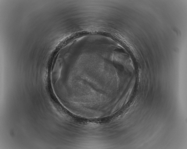 X0000114420592200911061624