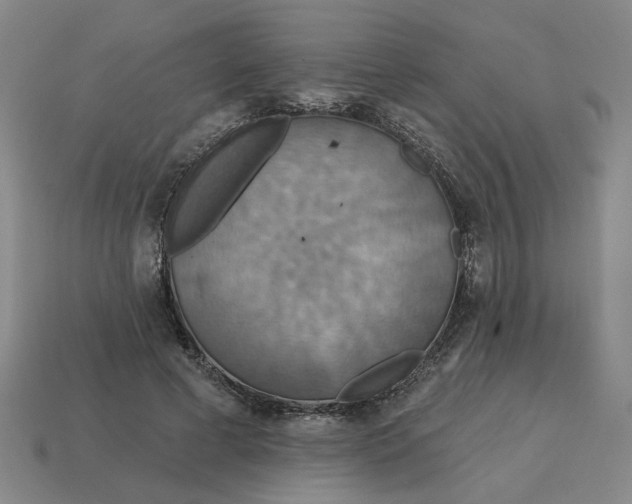 X0000114420593200911061624
