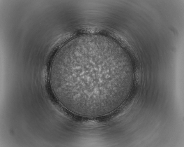 X0000114420594200911061624