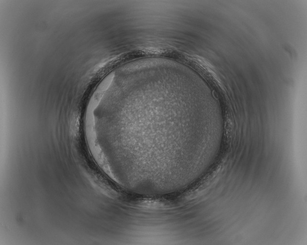 X0000114420596200911061624