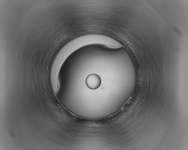 X0000114420597200911061624