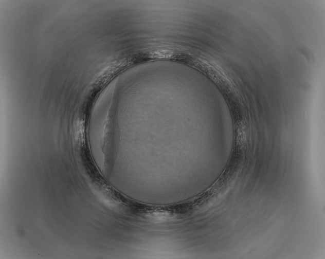 X0000114420598200911061624