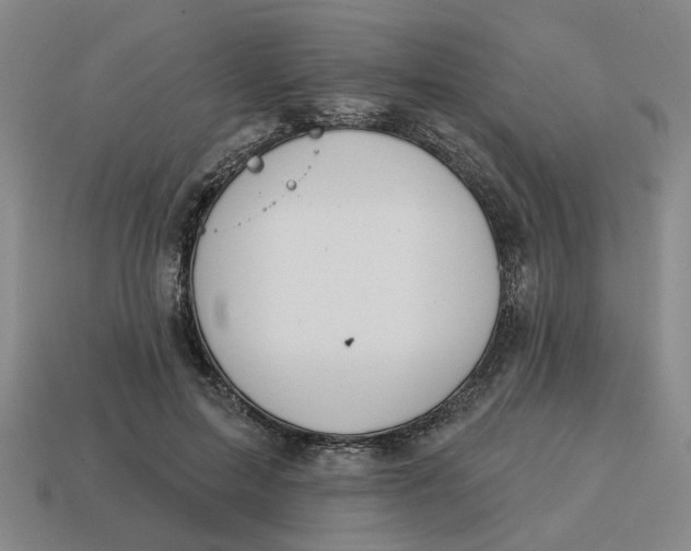 X0000114420599200911061624