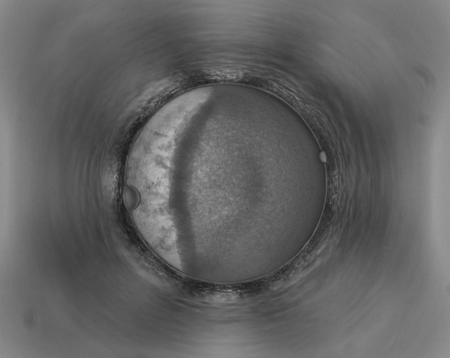 X0000114420600200911061624