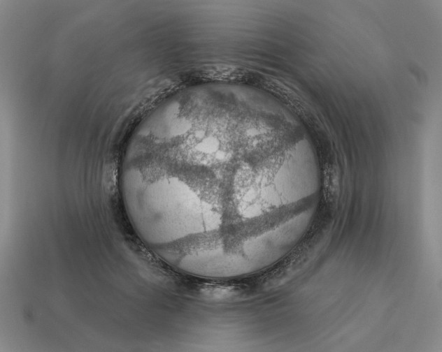 X0000114420602200911061624