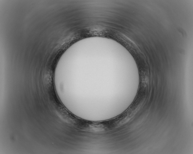 X0000114420603200911061624