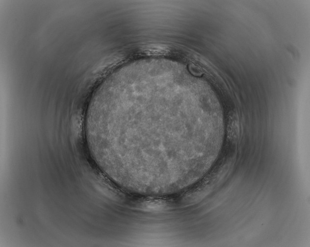 X0000114420604200911061624